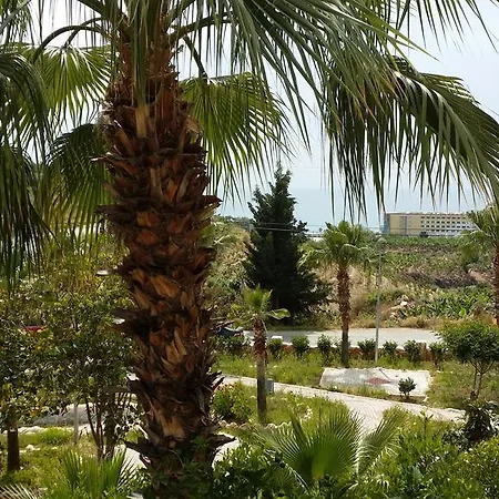 Aspel Villa *